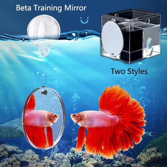 Acrylic Aquarium Betta Mirror