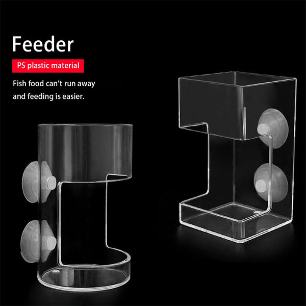 Aquarium Feeding Ring Floating Food Tray Feeder with Suction Cups Transparent