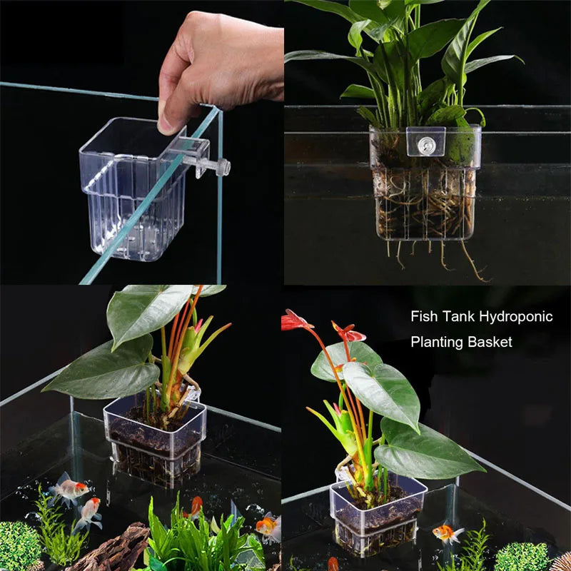 hydroponic plant holders Aquarium Plant Holder Hangable Fish Tank