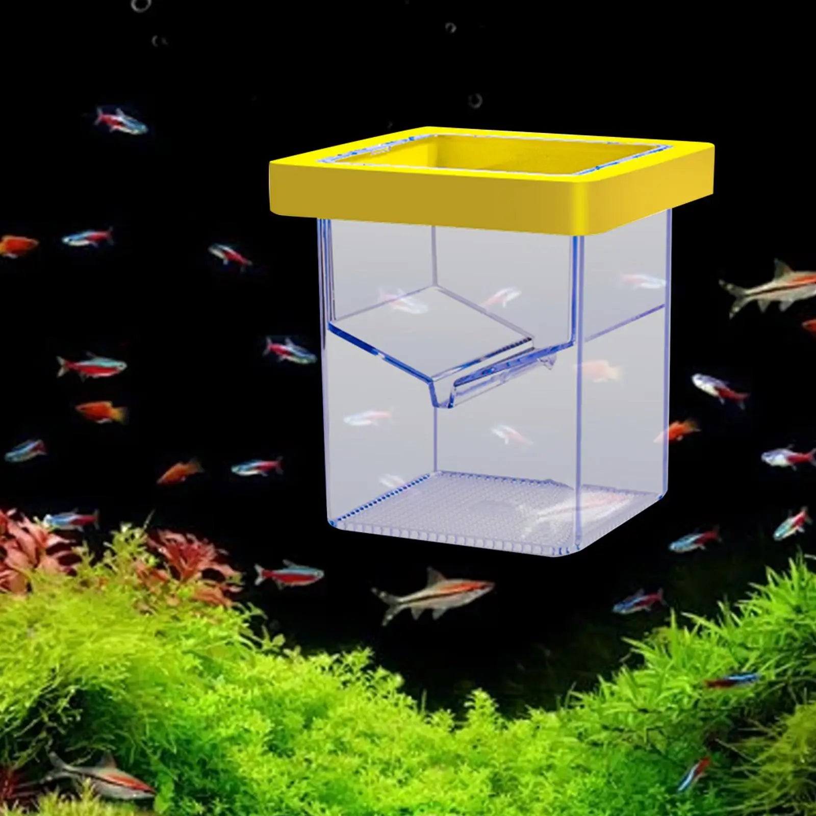 baby fish box Floating isolation box