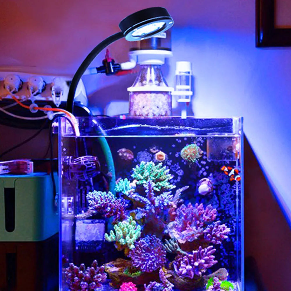 Image showcasing Marine Aquarium LED Light For 30~50CM – Aqua Layouts