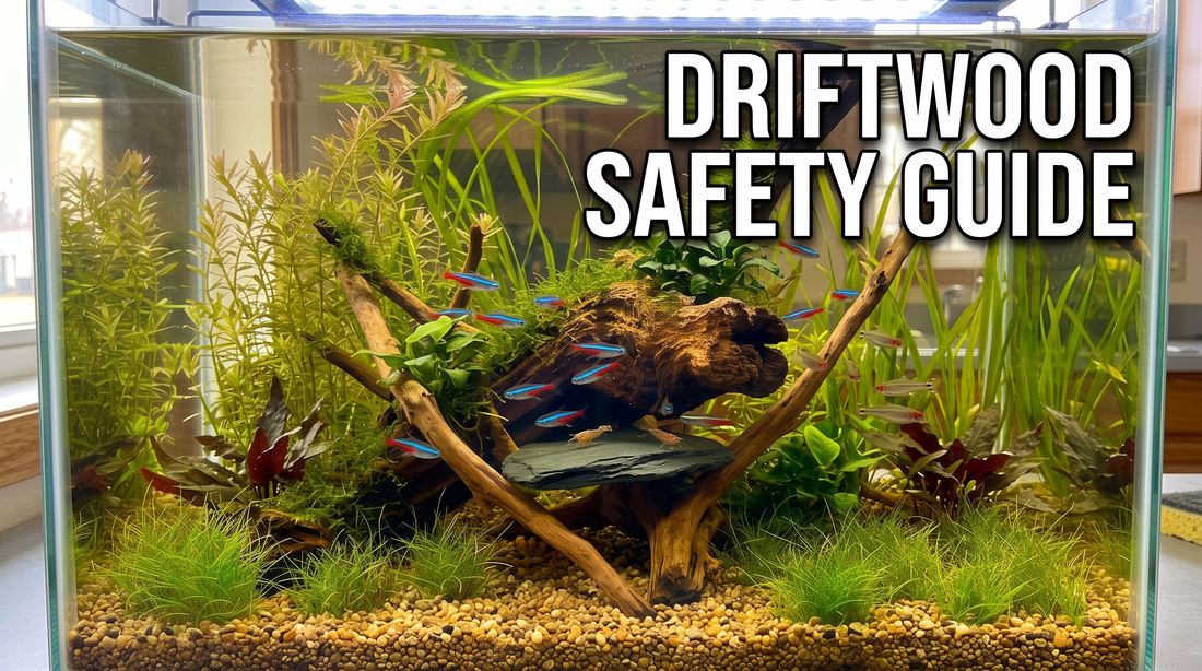 How to Use Aquarium Driftwood Safely in Your Fish Tank