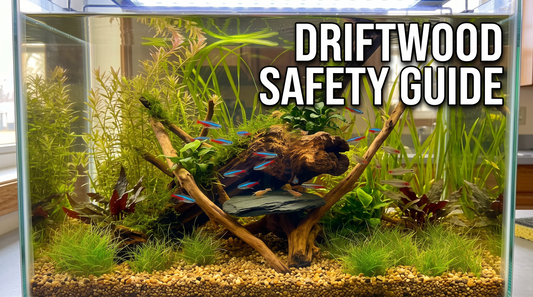 How to Use Aquarium Driftwood Safely in Your Fish Tank