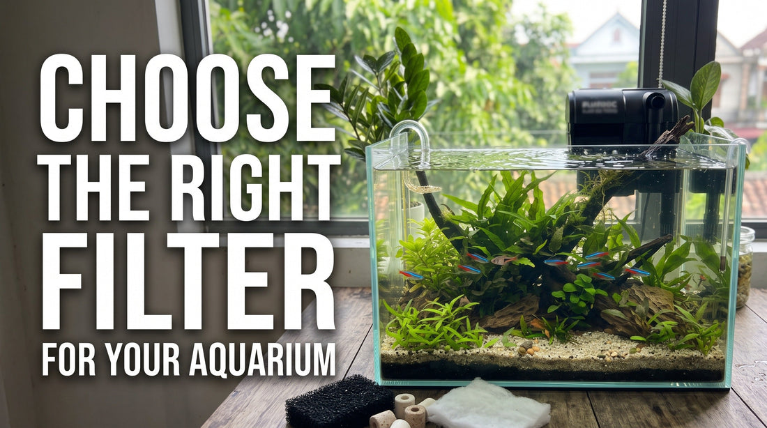 How to Choose the Right Aquarium Filter for Your Tank
