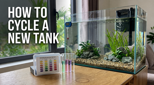 How to Cycle a New Aquarium: A Complete Beginner’s Guide