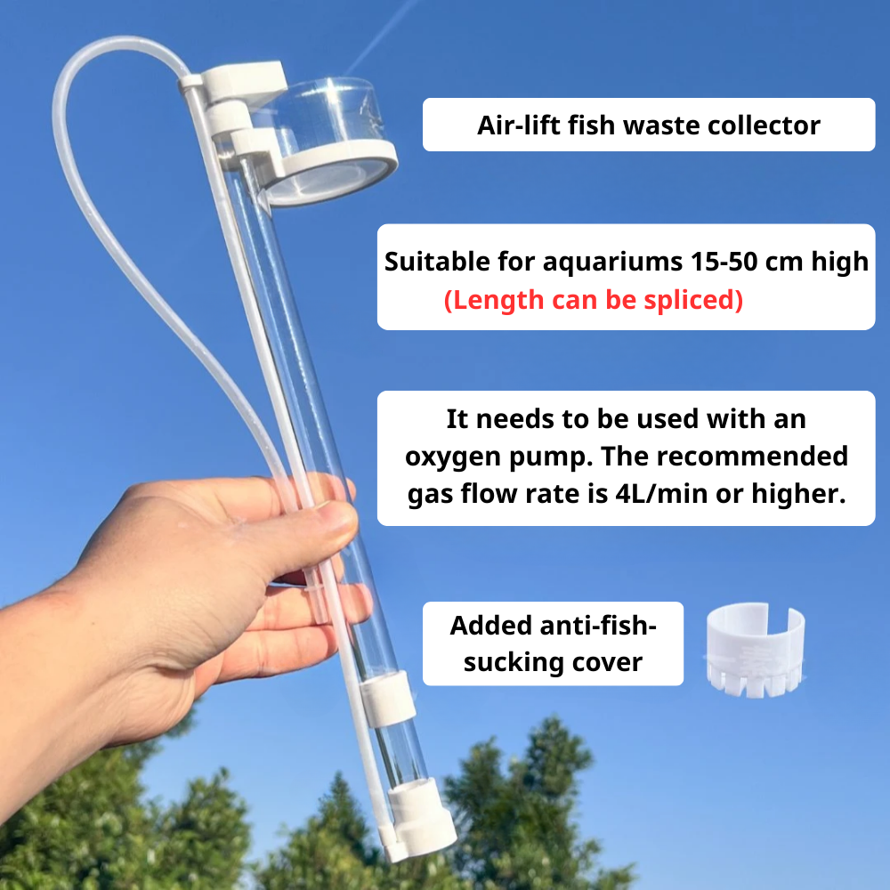 Air-lift fish waste collector