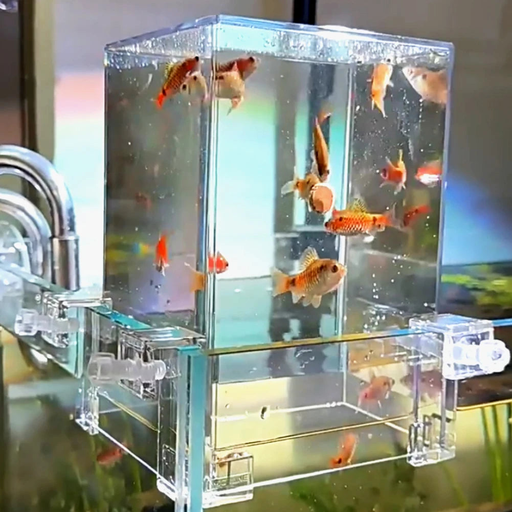 Decorative hanging fish tank