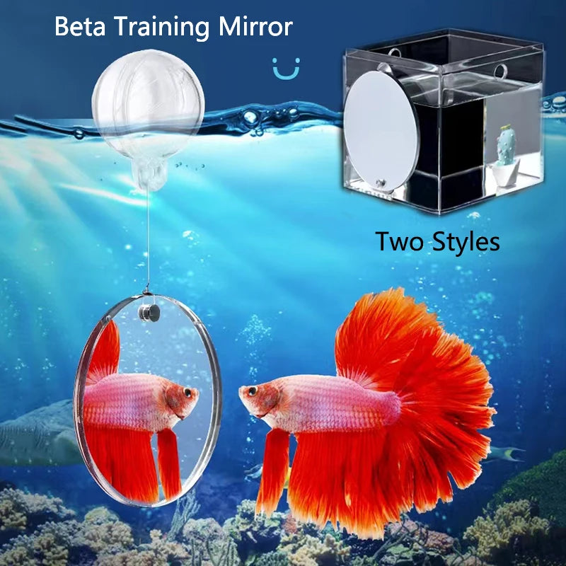 Acrylic Aquarium Betta Mirror