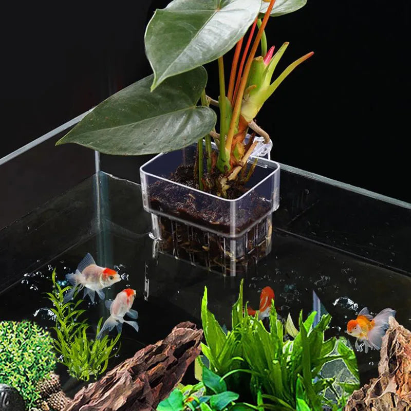 Aquarium Plant Holder Hangable Fish Tank