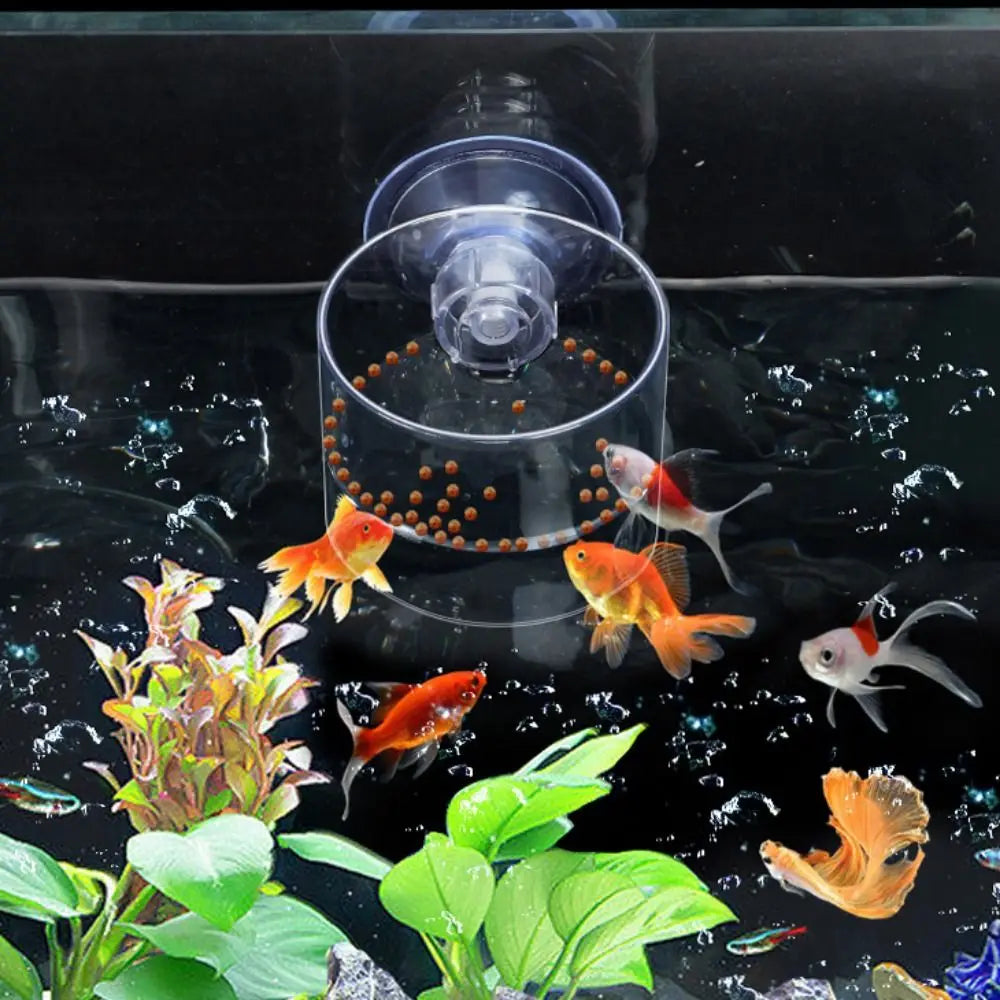 Aquarium Feeding Accessories