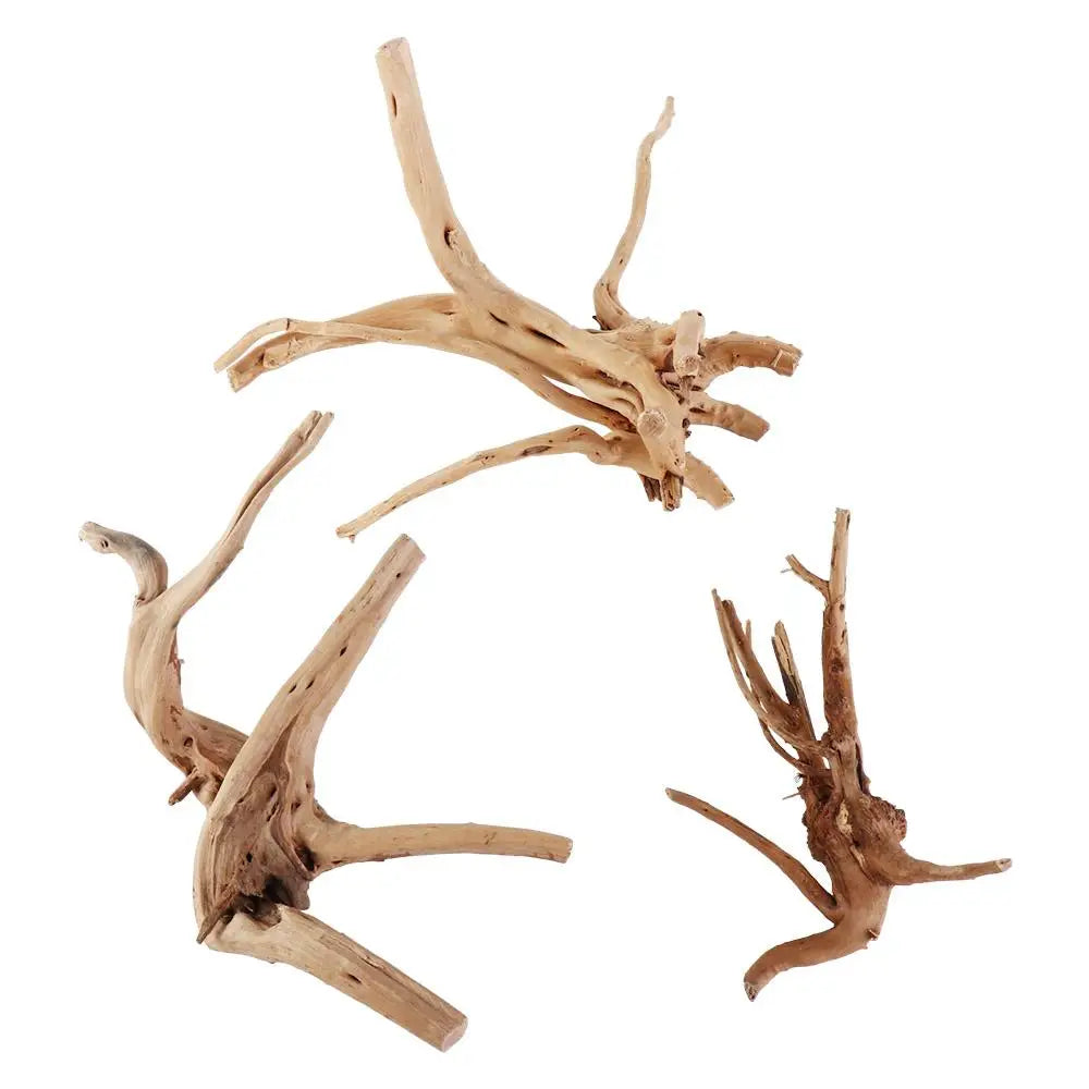 Aquarium Plants Natural Tree Driftwood