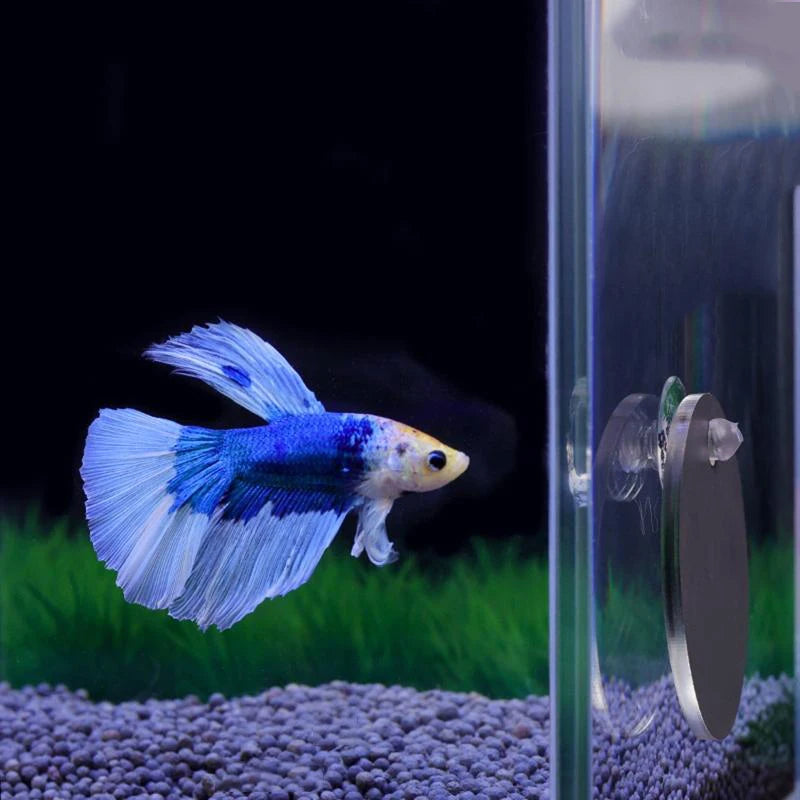 Acrylic Aquarium Betta Mirror