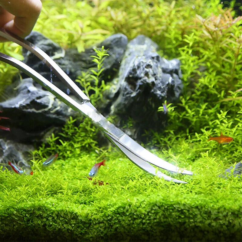 Scissors For Catching Fish Aquarium Scissor Tools Fish Tank Tweezer Plants Wave Scissors Grass St