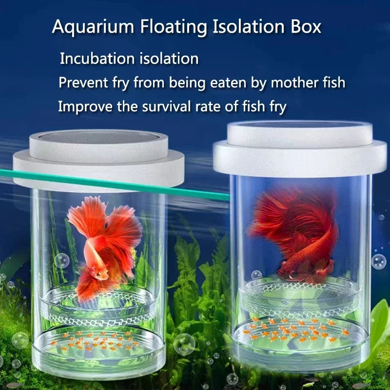 Isolation box – Aqua Layouts