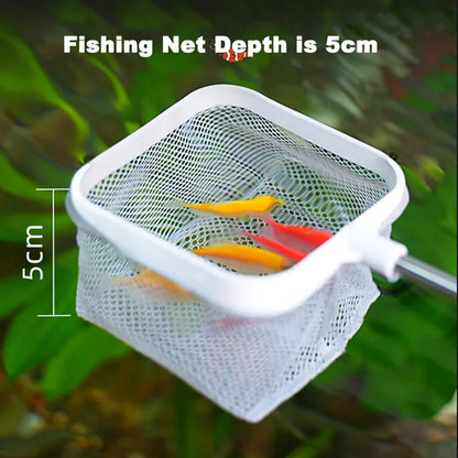 Net to remove fish from the tank