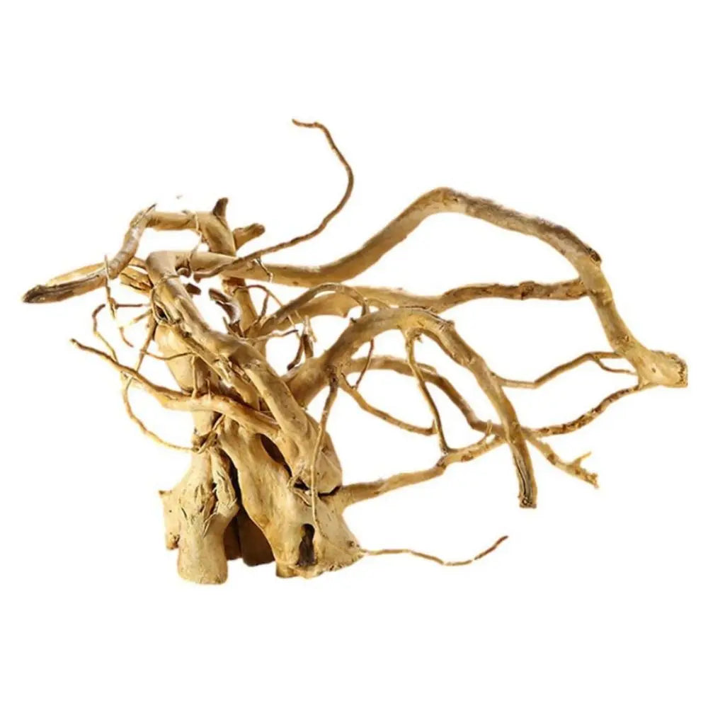 Aquarium Plants Natural Tree Driftwood