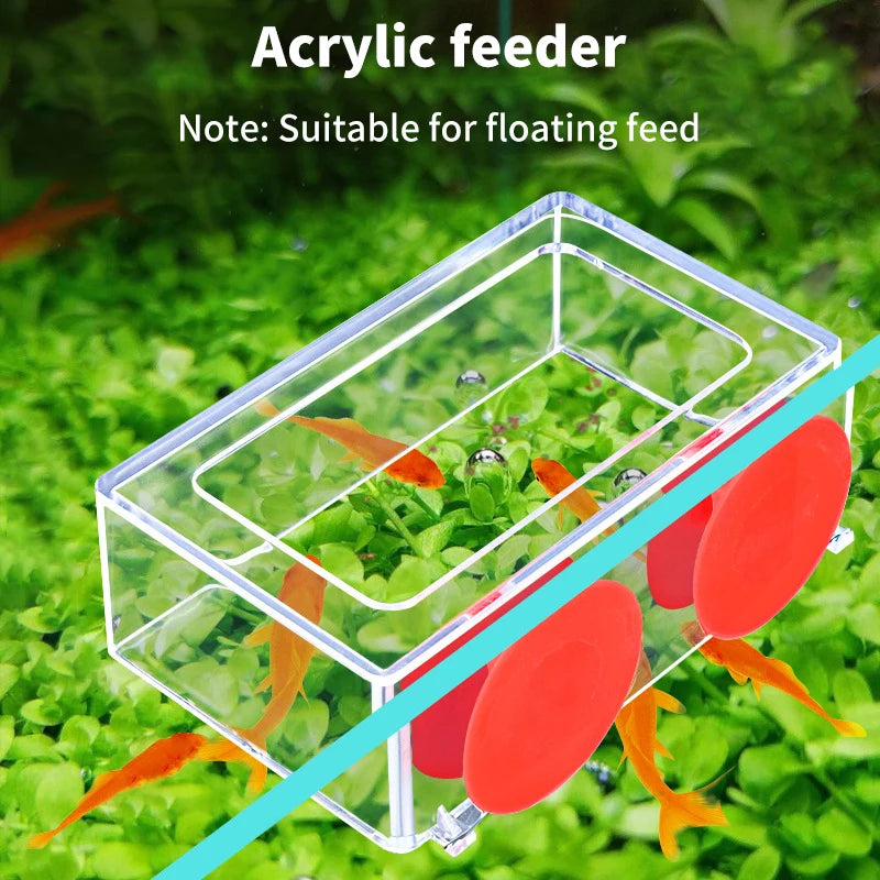 High Quality Rectangle Transparent Rimless Aquariums Feeder