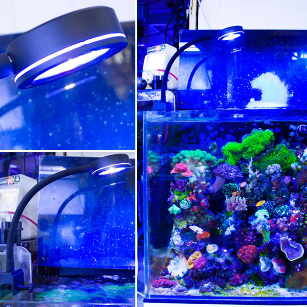 Marine Aquarium LED Light For 30~50CM