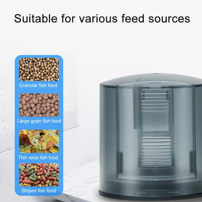 Automatic fish feeding machine