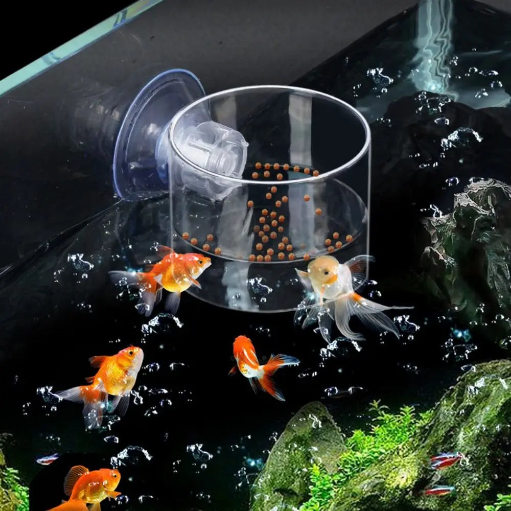 Aquarium Feeding Accessories