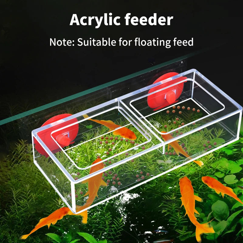 High Quality Rectangle Transparent Rimless Aquariums Feeder