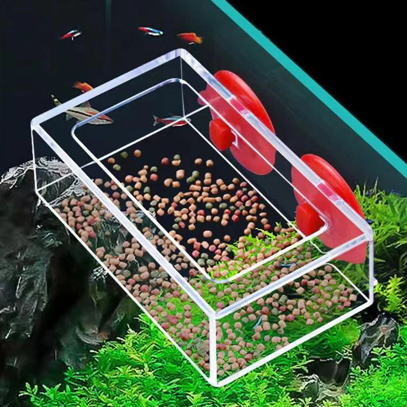 High Quality Rectangle Transparent Rimless Aquariums Feeder