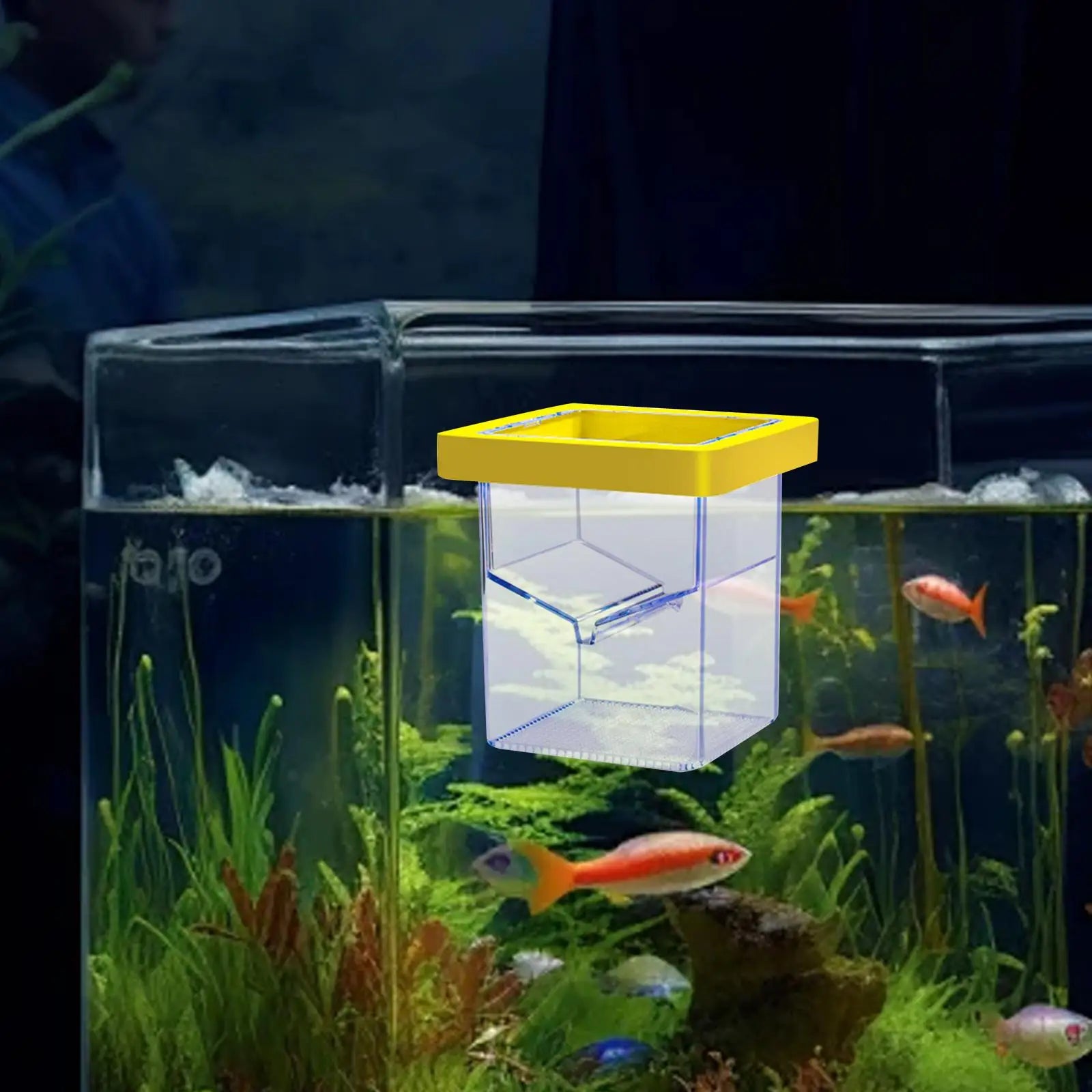 Floating isolation box