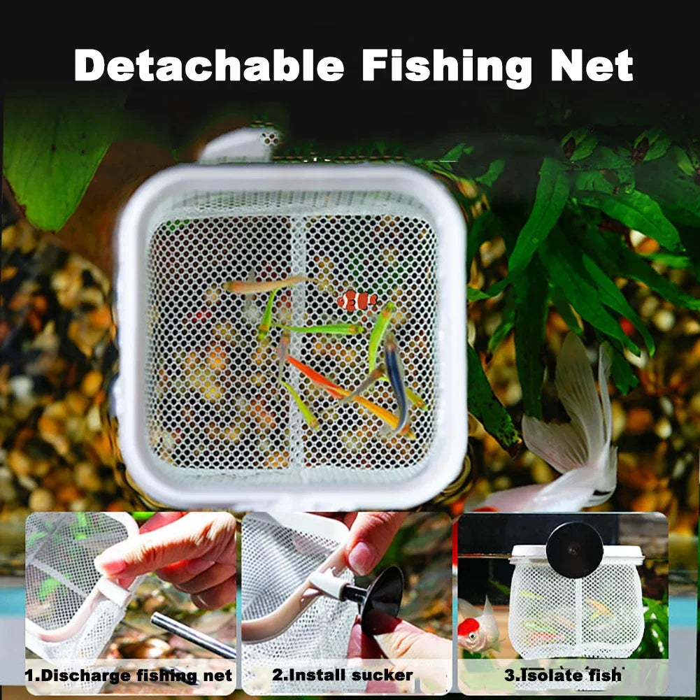 Net to remove fish from the tank