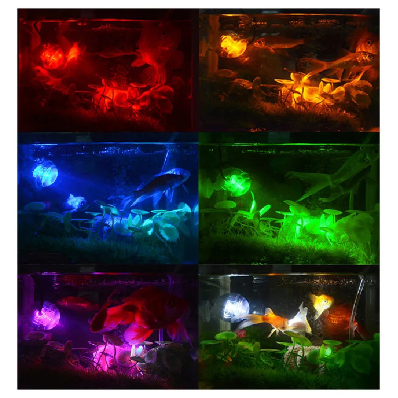 Multi-colored spot lights