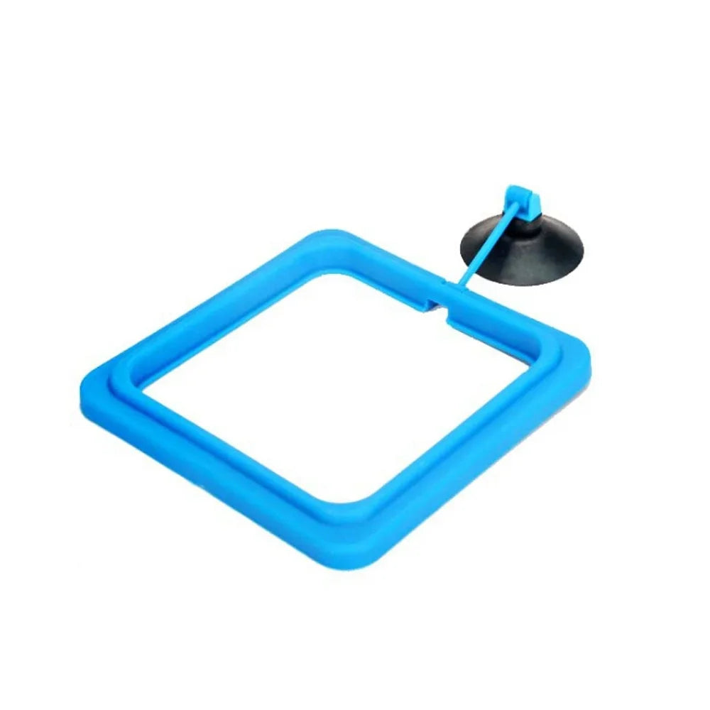 floating feeding ring ornamental