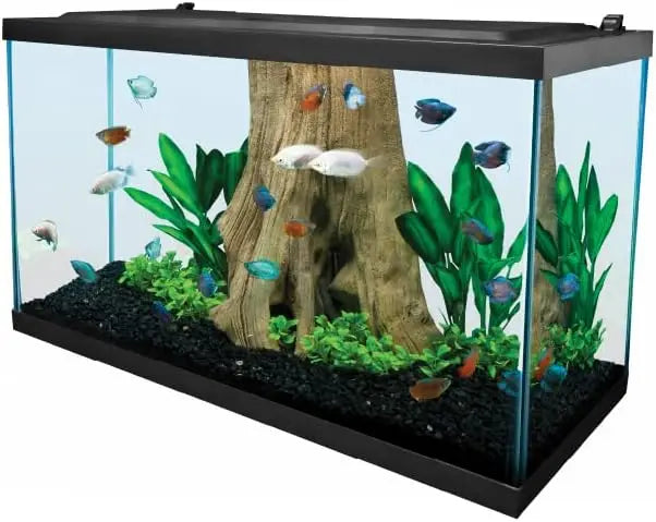 Tetra LED Aquarium 29 Gallons