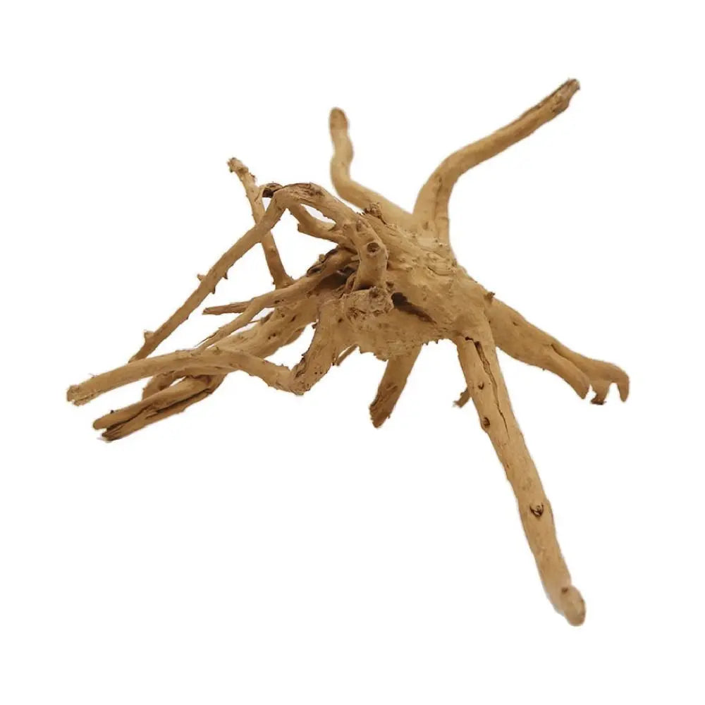 Aquarium Plants Natural Tree Driftwood