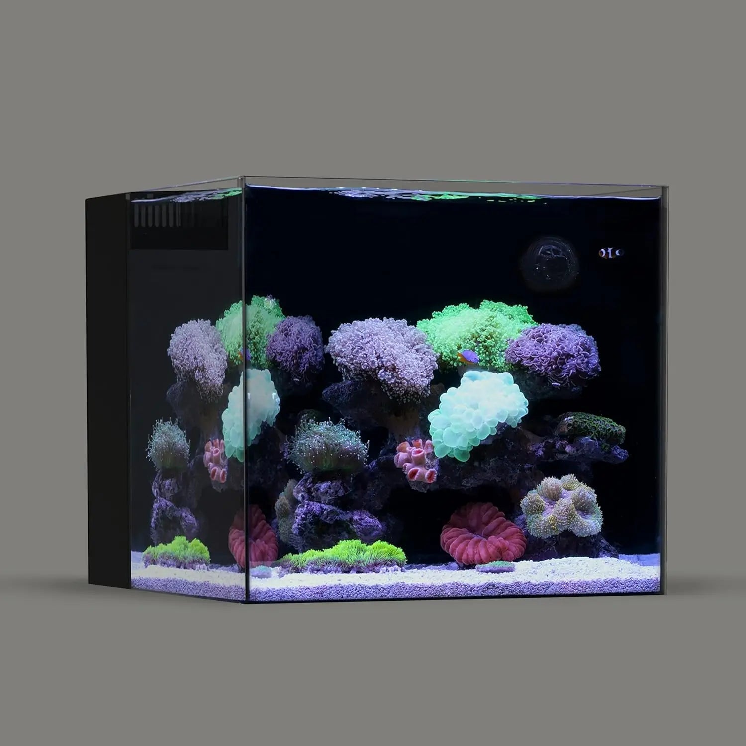 Landen 45P 20 Gallon Ultra Clear