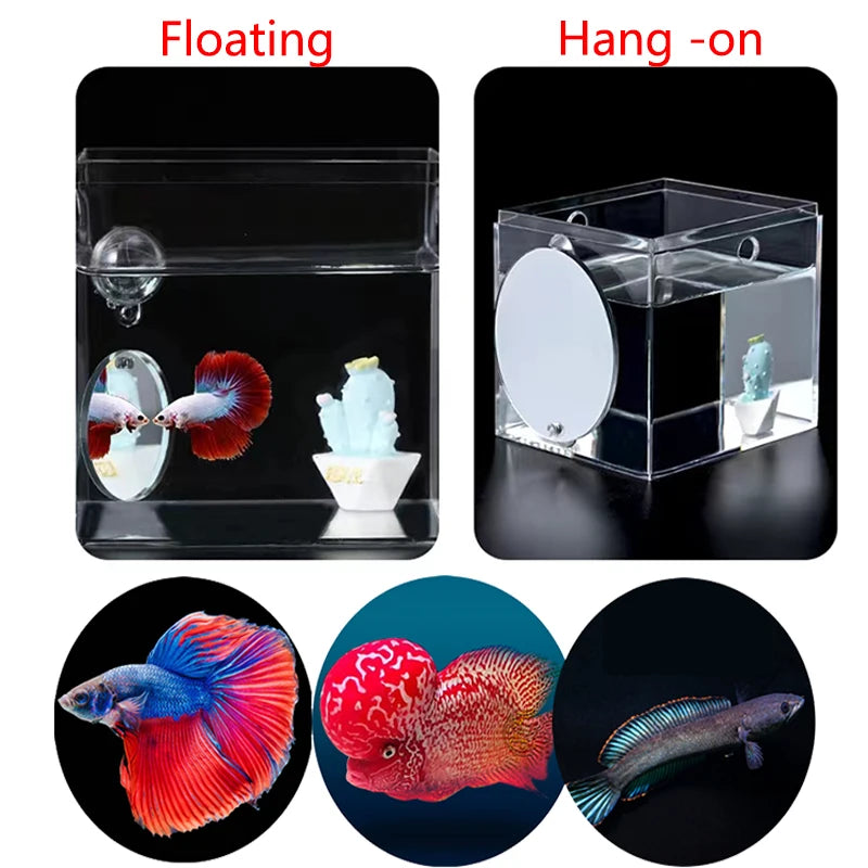 Acrylic Aquarium Betta Mirror