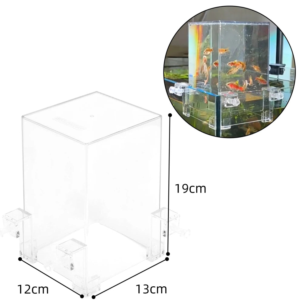 Decorative hanging fish tank