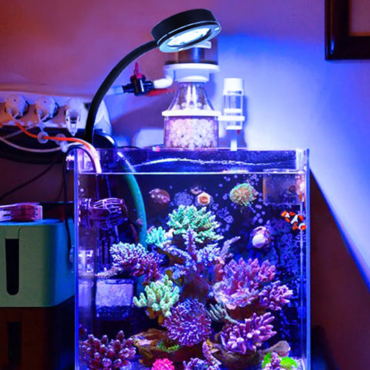 Marine Aquarium LED Light For 30~50CM